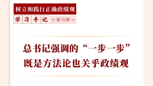 学习手记｜总书记强调的“一步一步”既是方法论也关乎政绩观
