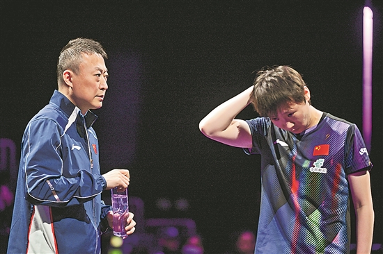 3373463_tpzz_1773904830866_b 3373463_tpzz_1773904830866_b