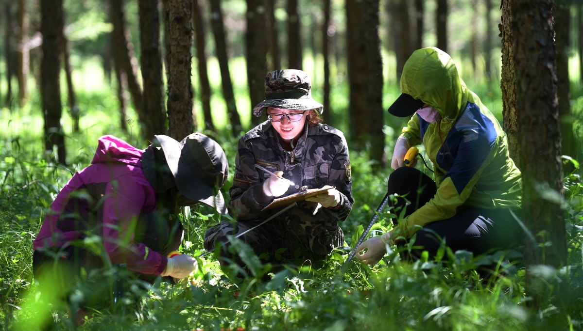 总书记叮嘱我们“要守护好这片林海”