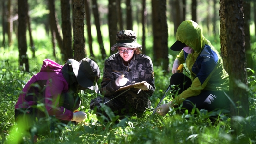 总书记叮嘱我们“要守护好这片林海”