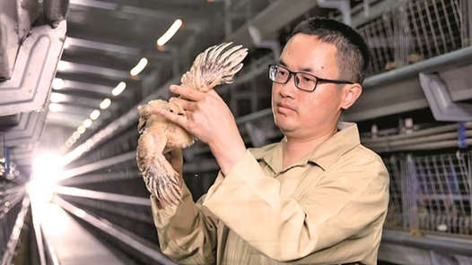 身边的大国工匠·2025年“大国工匠年度人物”⑧｜数智赋能中国畜牧腾飞