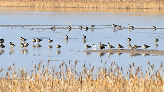 创造经得起实践、人民、历史检验的实绩｜以科学态度和务实精神谋发展