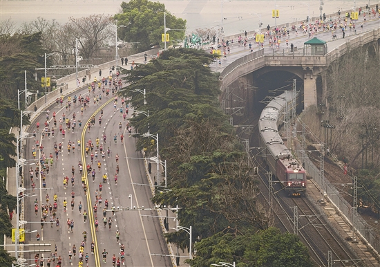 3377262_tpzz_1774189105831_b