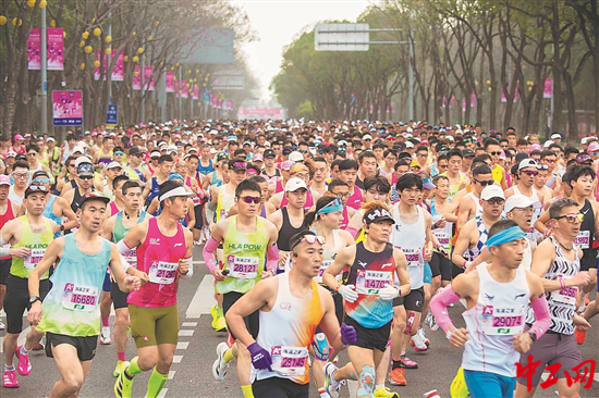 3377166_tpzz_1774190615280_b