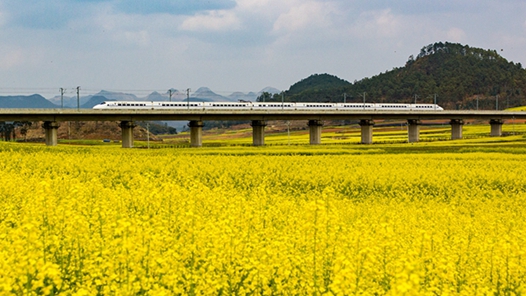高铁“寻香之旅”受青睐