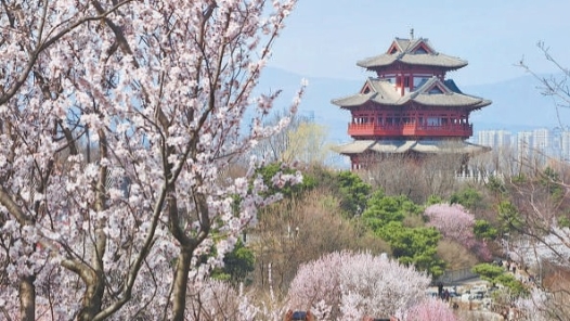 北京：“两园一河”今年扩容升级