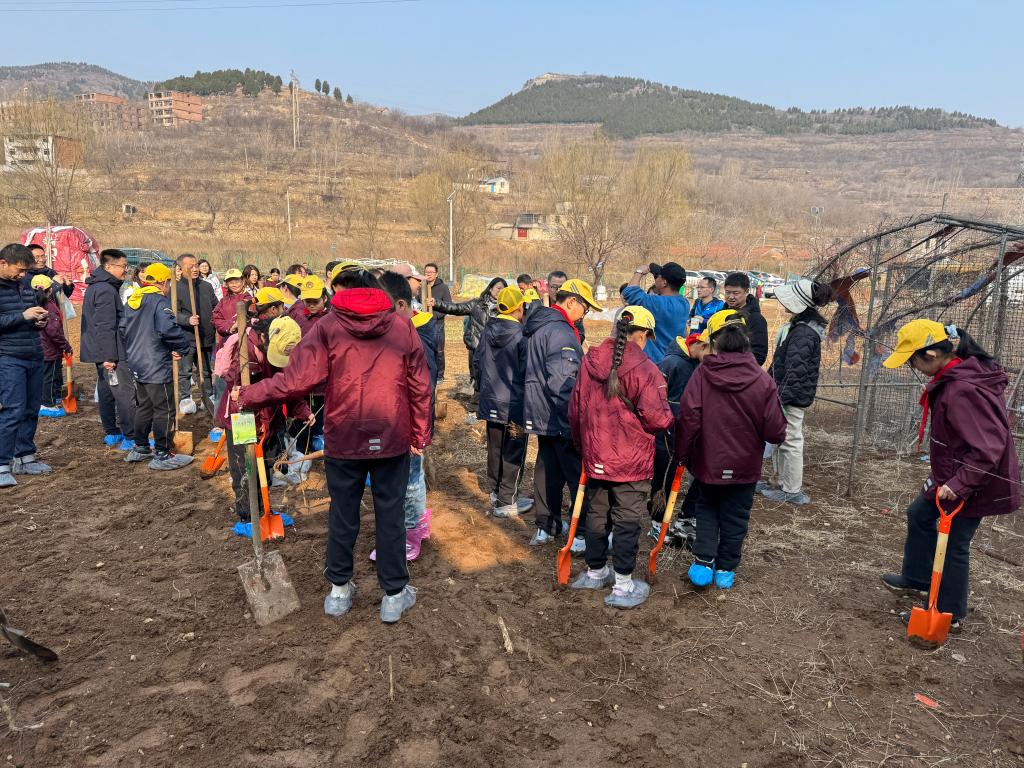 20260324f5cb28c1dfd7452ab2fbeeec994ab177_596ea0c9e1db4cb29e39fbd32247b30a