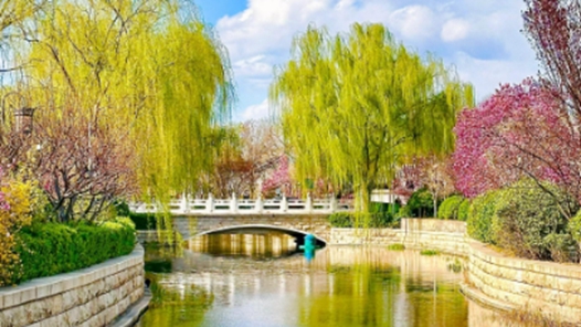 “花开北京·2026京津冀全民赏花季”系列生态文化活动将启动