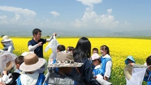 青海打造主题研学旅游产品矩阵