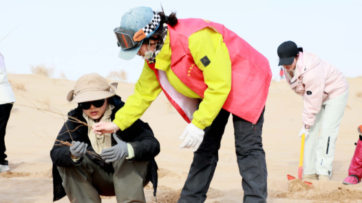 超4万人千里奔赴：“请到民勤种棵树”志愿活动热潮迭起