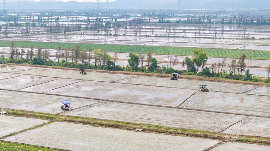 “先进技术+科技指导+服务保障”护航春耕春管 夯实粮食丰产丰收基础