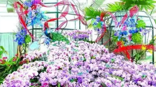 北京：千园之城，花事正酣