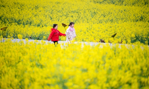 春假文旅“大礼包”密集上线
