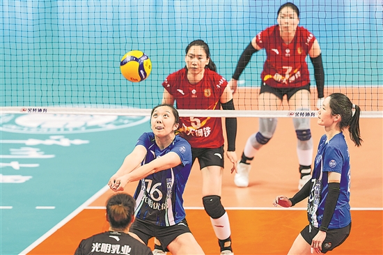 3385450_tpzz_1774796331137_b (1) 3385450_tpzz_1774796331137_b (1)