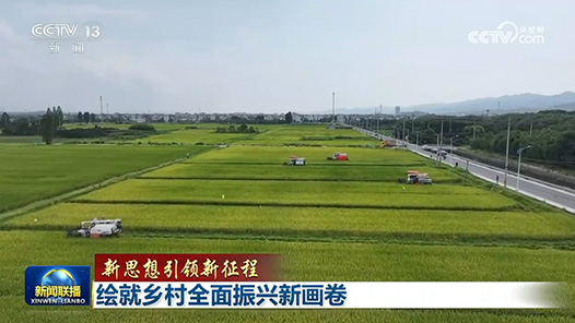 新思想引领新征程｜绘就乡村全面振兴新画卷