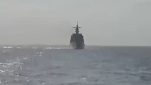 视频｜多艘新入列舰艇南海实战化训练