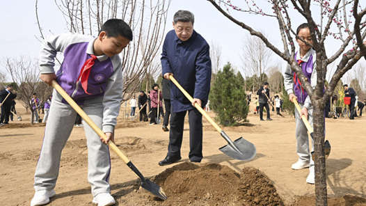 为美丽中国建设添砖加瓦——习近平总书记在参加首都义务植树活动时的重要讲话激励广大干部群众合力共建良好生态