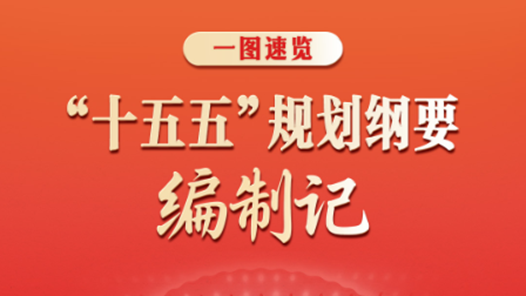 一图速览｜“十五五”规划纲要编制记
