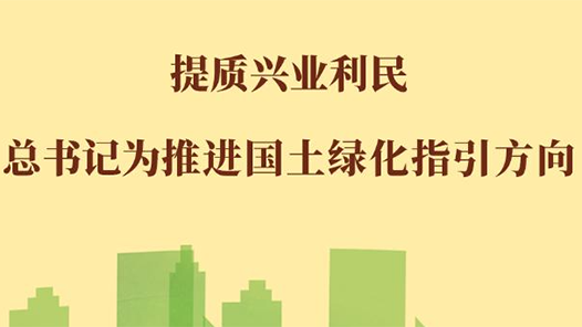 第一观察｜提质兴业利民，总书记为推进国土绿化指引方向
