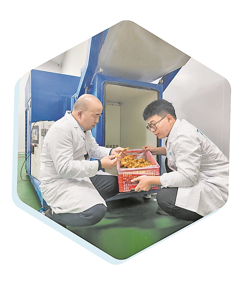 c609186594c14510a875dbb178520228 c609186594c14510a875dbb178520228