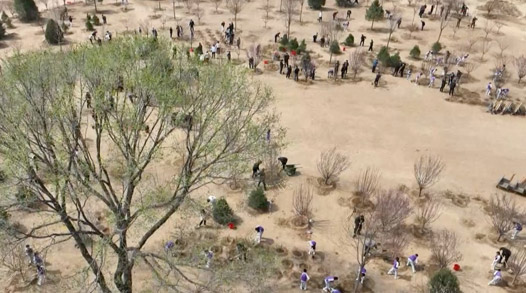 时政现场说丨厚植生态底色 共绘锦绣中国