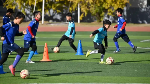 关注健康学校建设｜健康学校，不止在“建”更在“育”