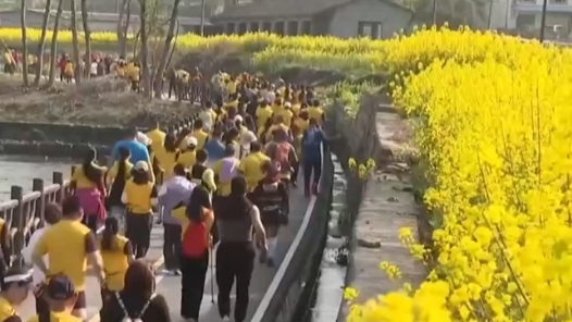 以花为“媒”不断延长“花经济”产业链 “农文旅体”深度融合让乡村绽放别样光彩