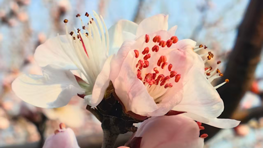 “到主题邮局打卡去”
