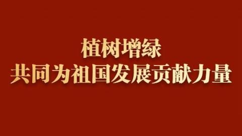 和总书记面对面｜植树增绿 共同为祖国发展贡献力量