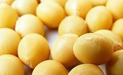 流言鉴定科｜老年人吃粗粮越多越好？