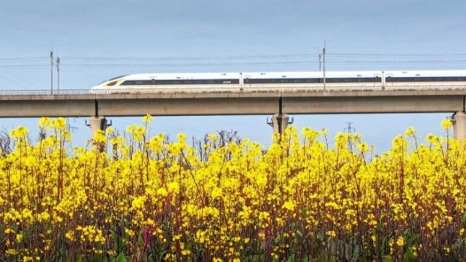 解锁春日之旅 限定版“花海列车”别错过