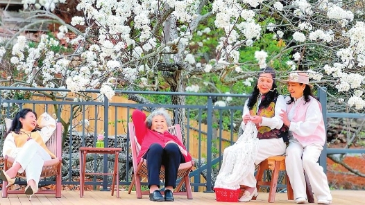 云南省个旧市：一年花事满城春