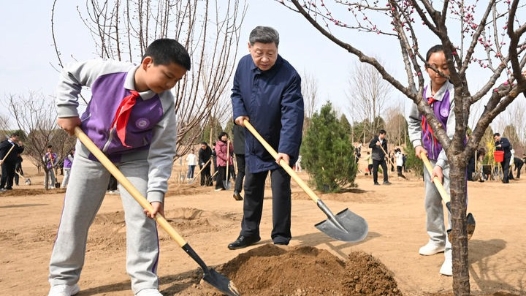 镜观·领航｜从植绿护绿，领悟总书记的政绩观