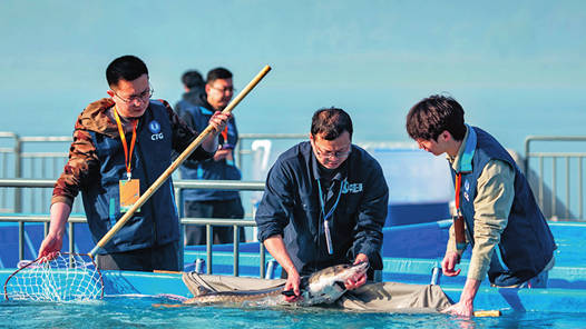 长江干流等重点水域水生生物完整性指数比禁渔前提升2个等级