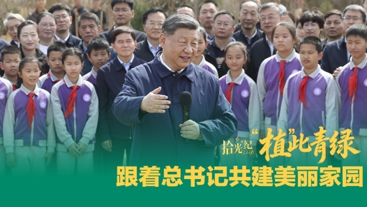 拾光纪·“植”此青绿，跟着总书记共建美丽家园