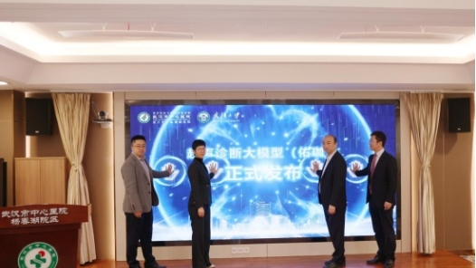 湖北省首个超声诊断大模型正式发布