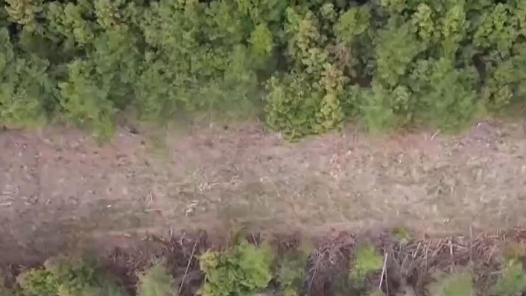 广东森林火险等级持续偏高