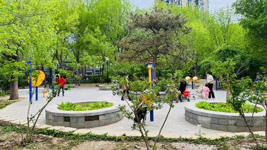 记者去哪儿｜9年时间，雄安新区“长成”啥模样？