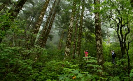 云南省火情瞭望监测覆盖率达82%