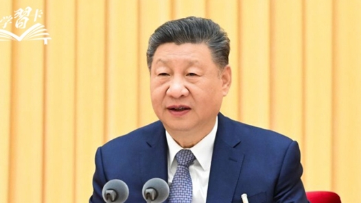 学习卡丨如何科学决策？总书记强调这一根本遵循