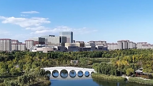 新思想引领新征程丨雄安新区努力建设新时代创新高地和推动高质量发展样板