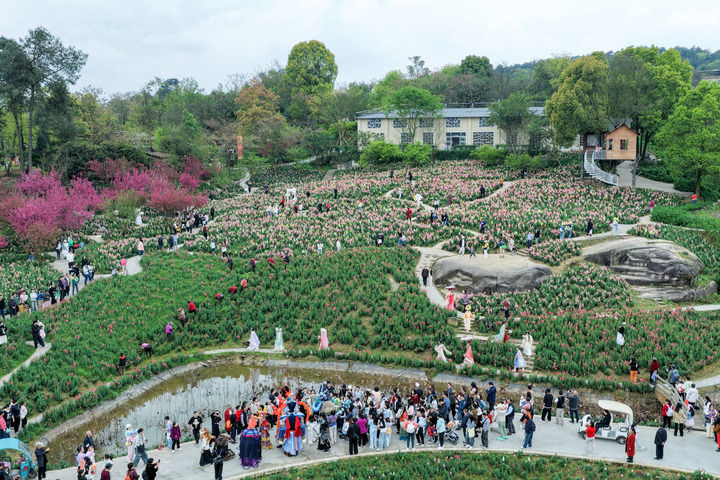 20260403_084809_001 20260403_084809_001