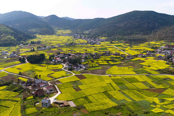 20260403_084809_002 20260403_084809_002