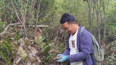 打工返乡走出“蜂药共生”甜蜜路