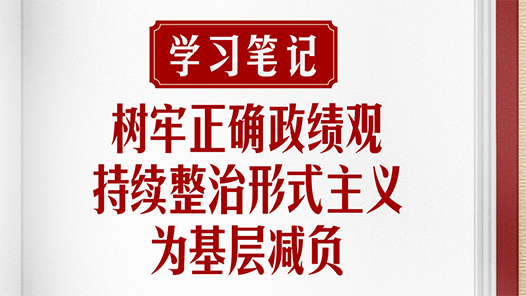 学习笔记｜树牢正确政绩观，持续整治形式主义为基层减负