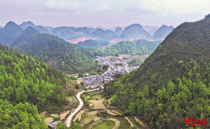 3390174_tpzz_1775179081852_b