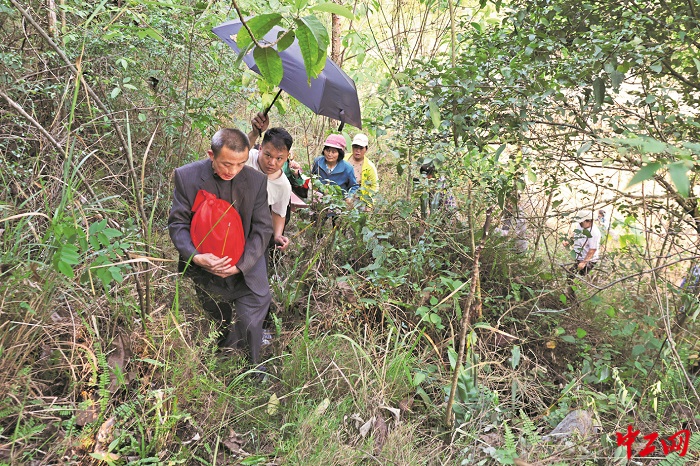 3390178_tpzz_1775179933063_b