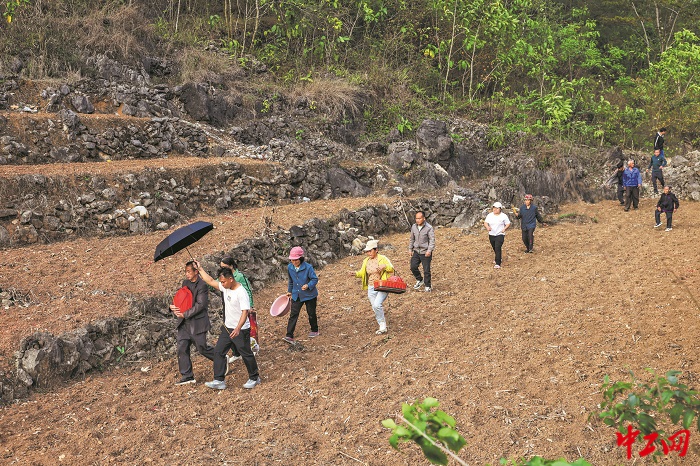 3390177_tpzz_1775179328111_b