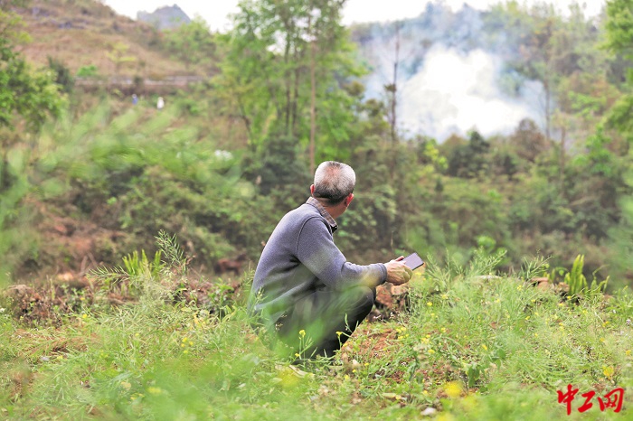 3390185_tpzz_1775182784518_b