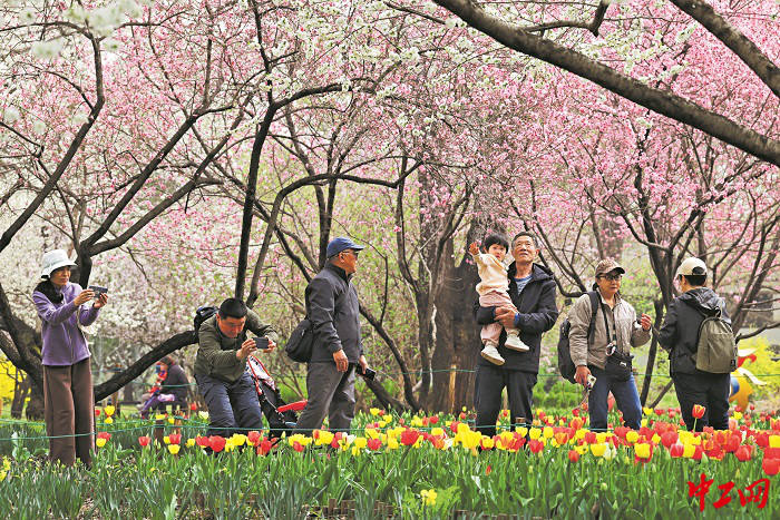 3391839_tpzz_1775198323443_b